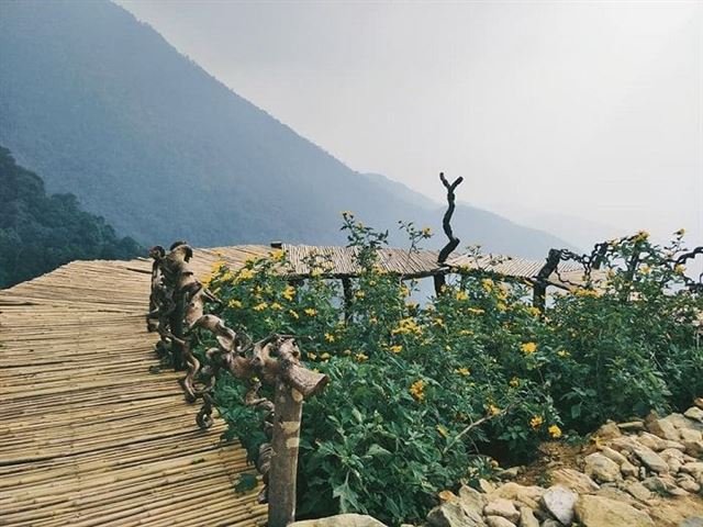 Tham quan Cầu Mây Tam Đảo