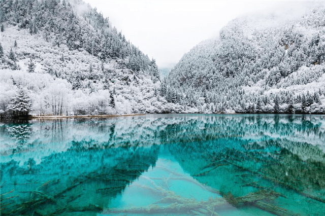 Ideal time for snow hunting in Jiuzhaigou Chengdu