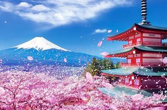 Kinh Nghiệm Xin Visa Du Lịch Nhật Bản Mới Nhất Bạn Cần Biết