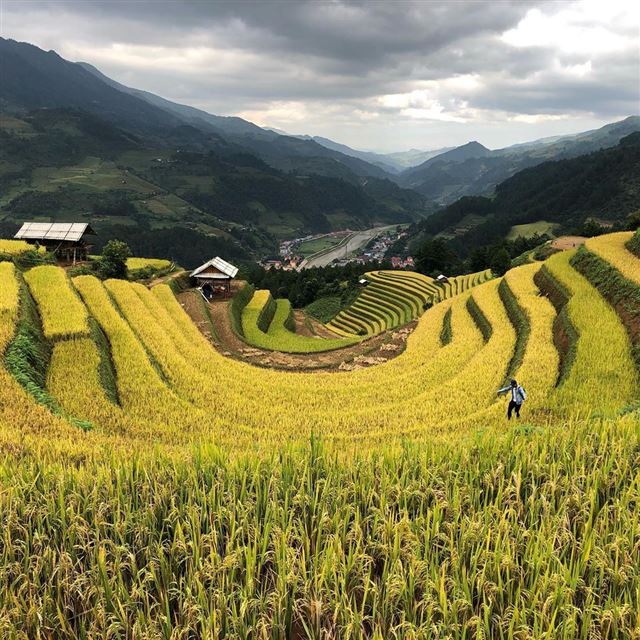 HÀ NỘI – TÚ LỆ - MÙ CANG CHẢI - HÀ NỘI