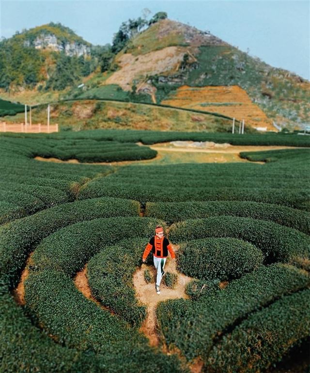 HÀ NỘI - MỘC CHÂU - MAI CHÂU - HÀ NỘI