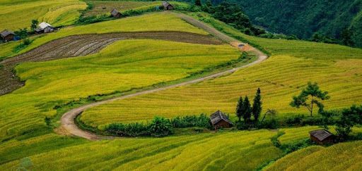 HÀ NỘI - Y TÝ - HÀ NỘI