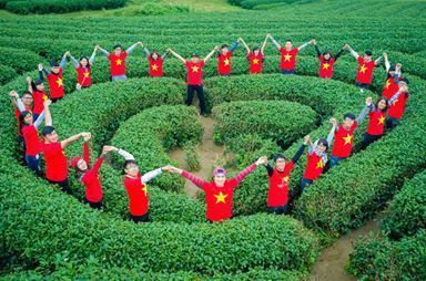 MOC CHAU IS PLUM FLOWER SEASON